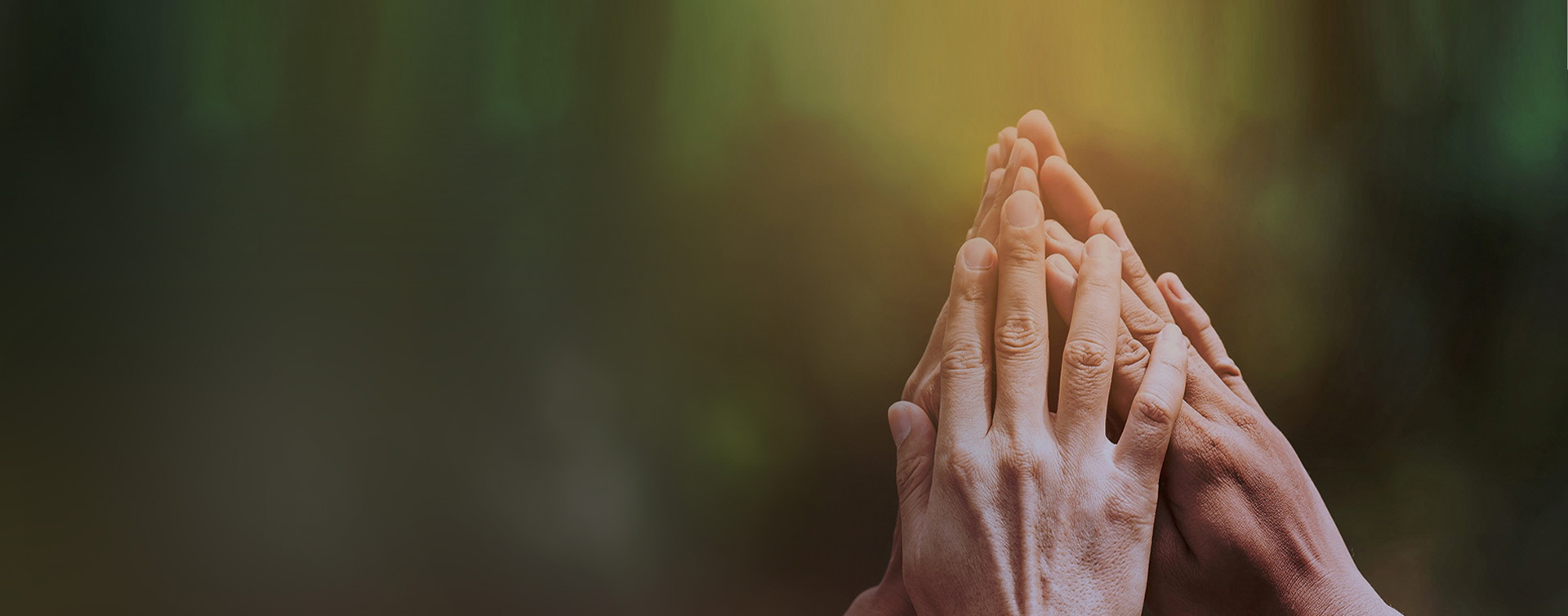 EMC易倍(中国区)体育官方网站